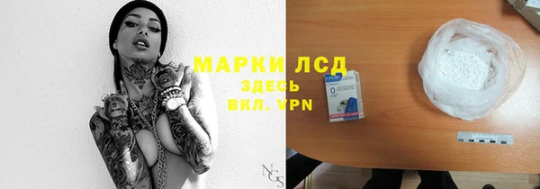 гидра Майский
