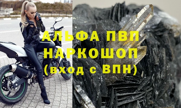 гидра Майский