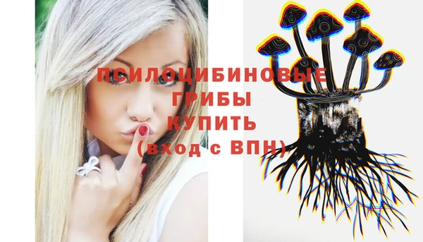 гидра Майский