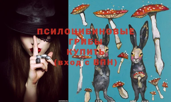мет Магас