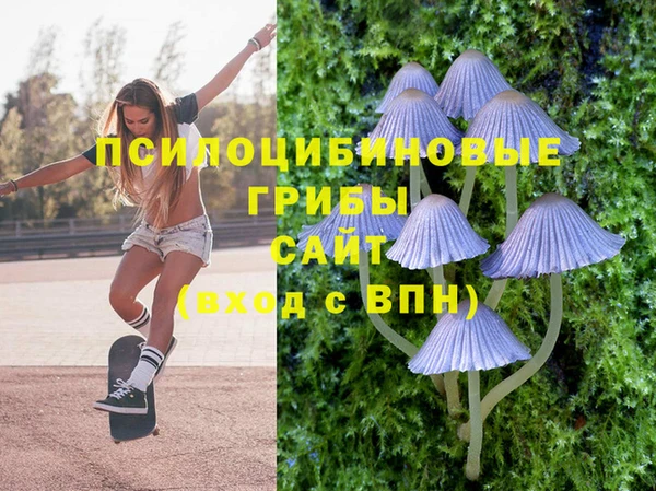 мет Магас