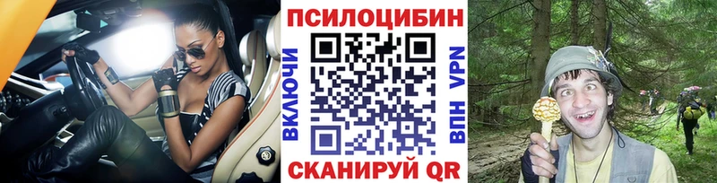 Купить закладки  Ессентукская  Псилоцибиновые грибы Psilocybine cubensis 